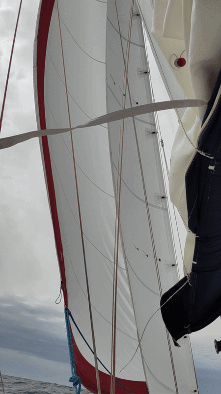 upwind with double headsails