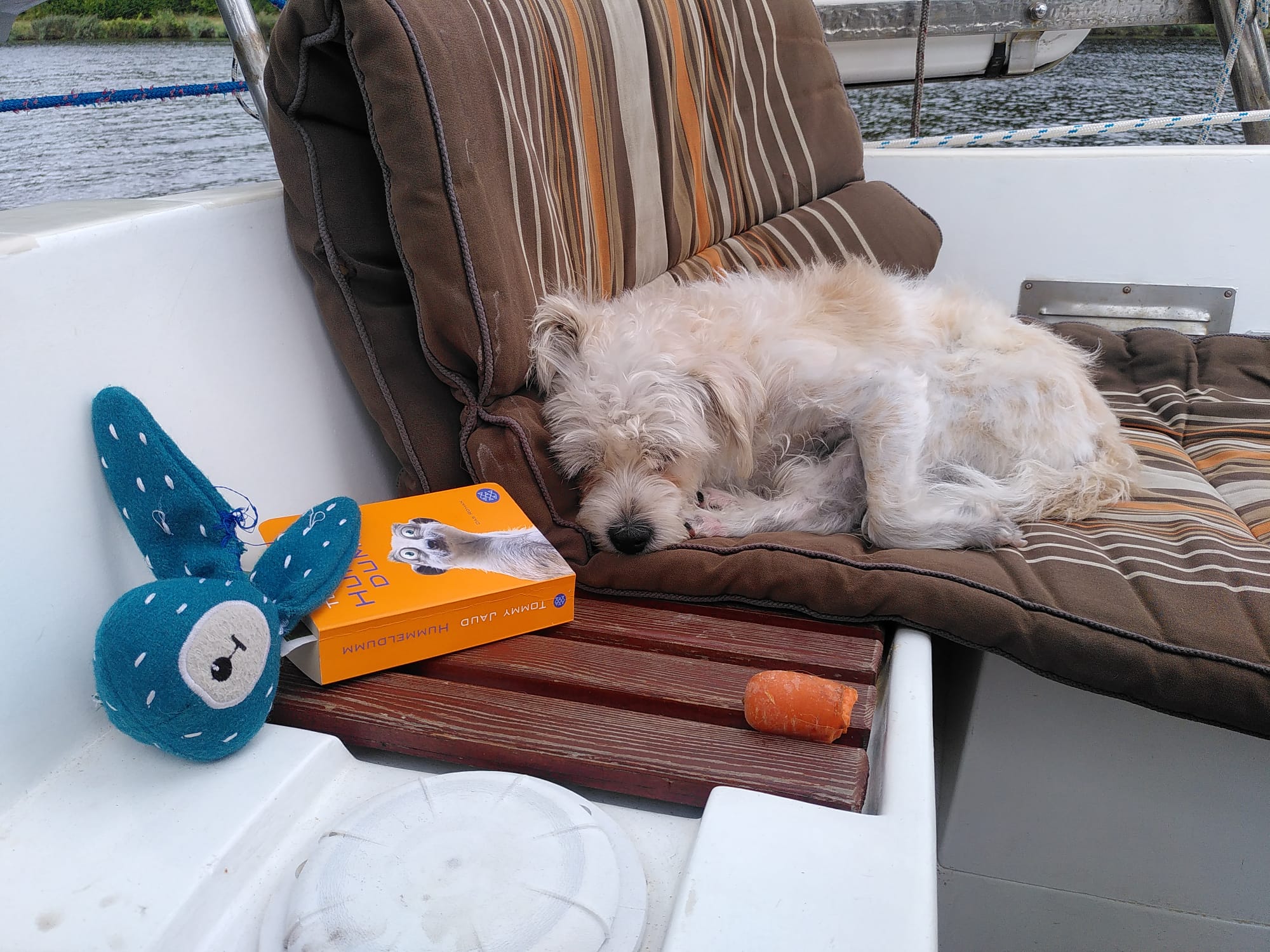 Emma sleeping in cockpit with book and toys